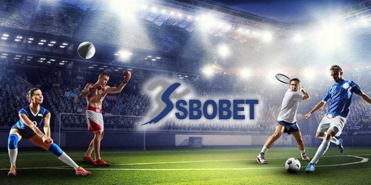 Judi Bola Online: Cara Menentukan Tim yang Tepat untuk Menang dalam Taruhan